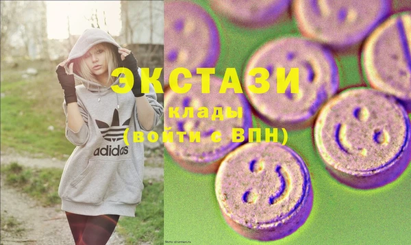 гидра Гусиноозёрск