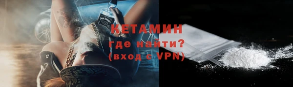 стаф Гусев
