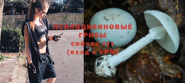 гидра Гусиноозёрск