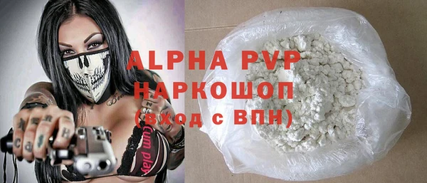 гидра Гусиноозёрск