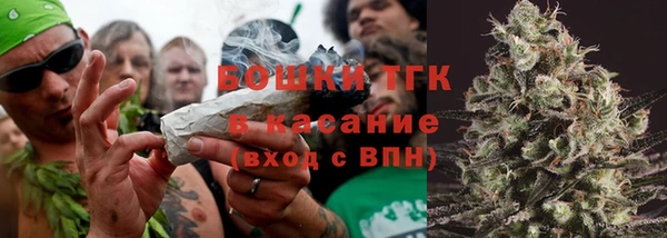 стаф Гусев