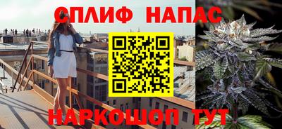 ECSTASY Будённовск