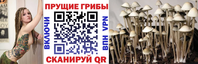 Галлюциногенные грибы прущие грибы  что такое наркотик  Сердобск 