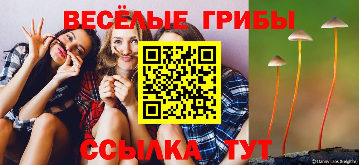 Галлюциногенные грибы прущие грибы Сердобск